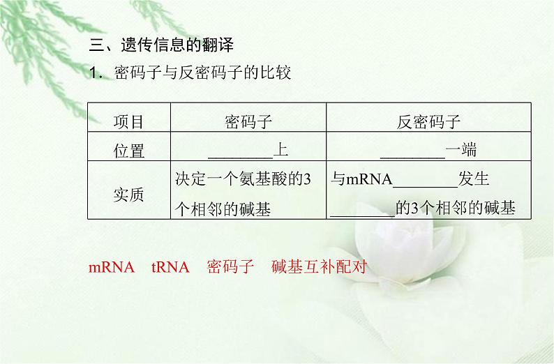 高中生物学业水平合格性考试专题八基因的表达课件第6页