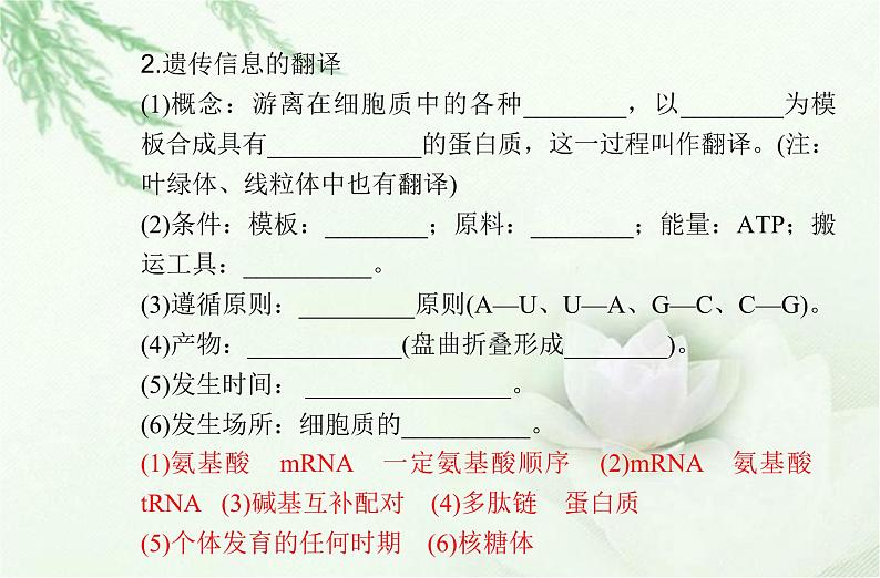 高中生物学业水平合格性考试专题八基因的表达课件第7页