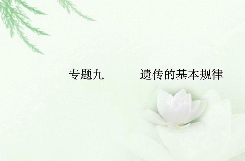 高中生物学业水平合格性考试专题九遗传的基本规律课件第1页