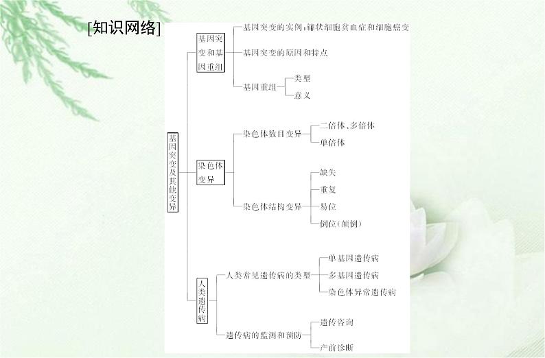 高中生物学业水平合格性考试专题十基因突变及其他变异课件第2页