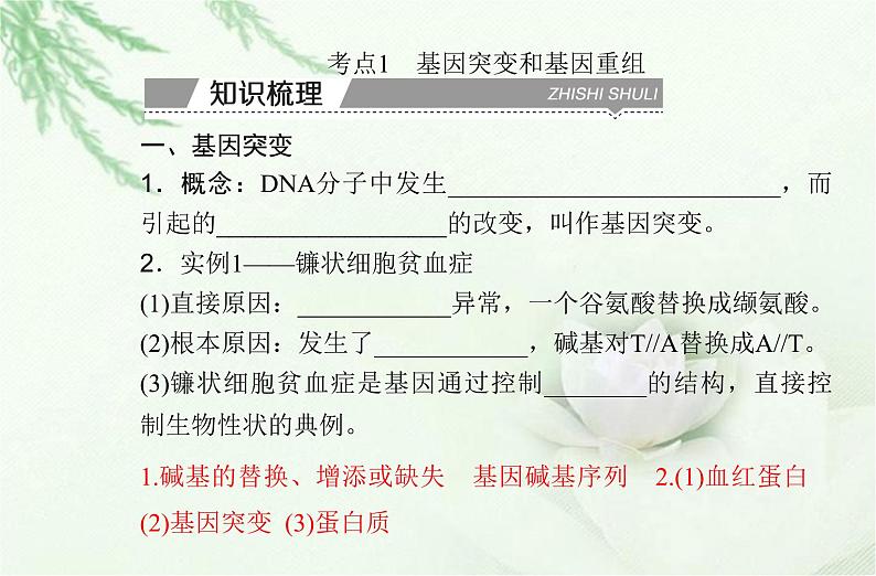 高中生物学业水平合格性考试专题十基因突变及其他变异课件第3页