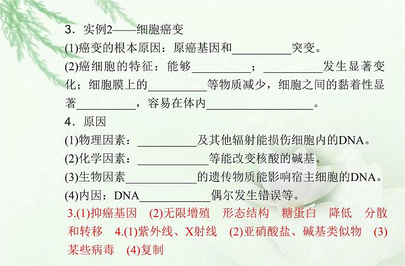 高中生物学业水平合格性考试专题十基因突变及其他变异课件第4页