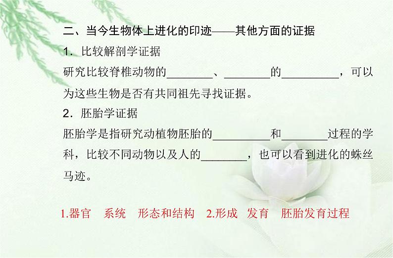 高中生物学业水平合格性考试专题十一生物的进化课件06