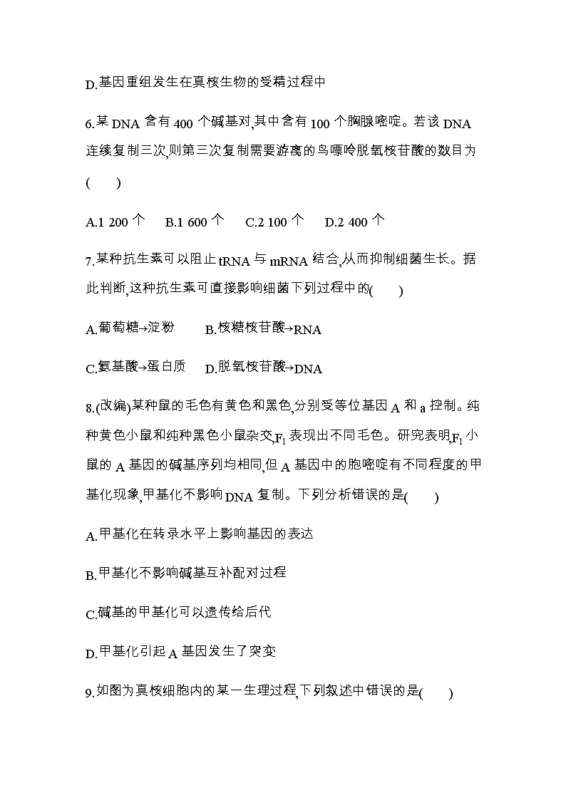 人教版高中生物必修第2册期末学业水平检测(二)含答案03