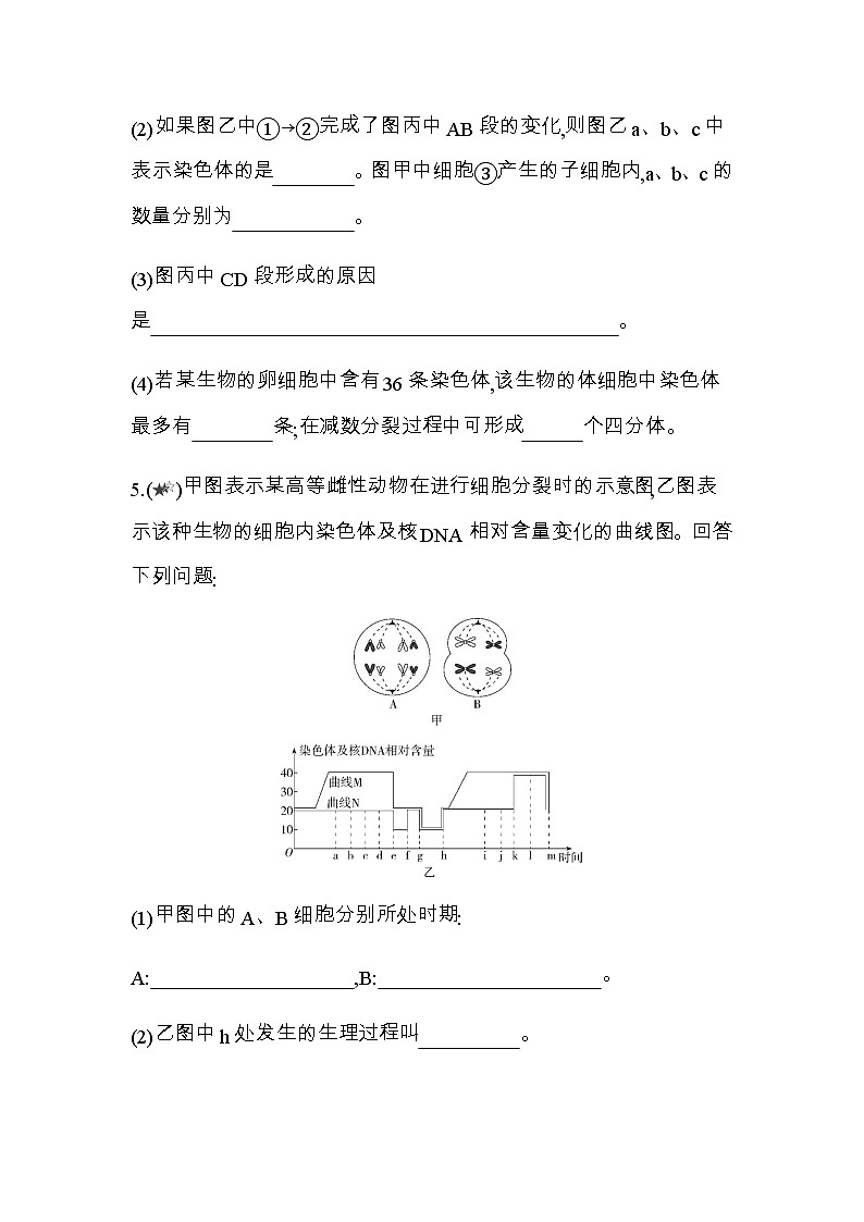 人教版高中生物必修第2册第2章专题强化练2有丝分裂与减数分裂的综合分析习题含答案第3页