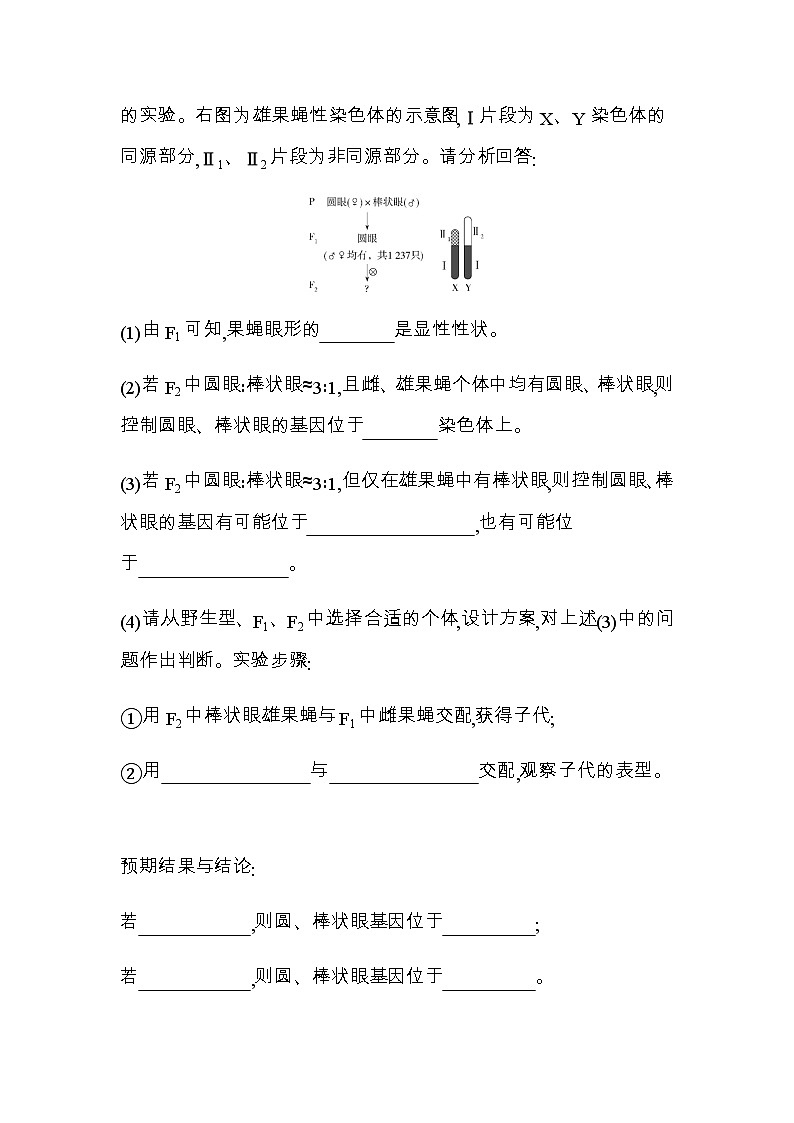 人教版高中生物必修第2册第2章专题强化练3探究基因在染色体上的位置习题含答案第3页