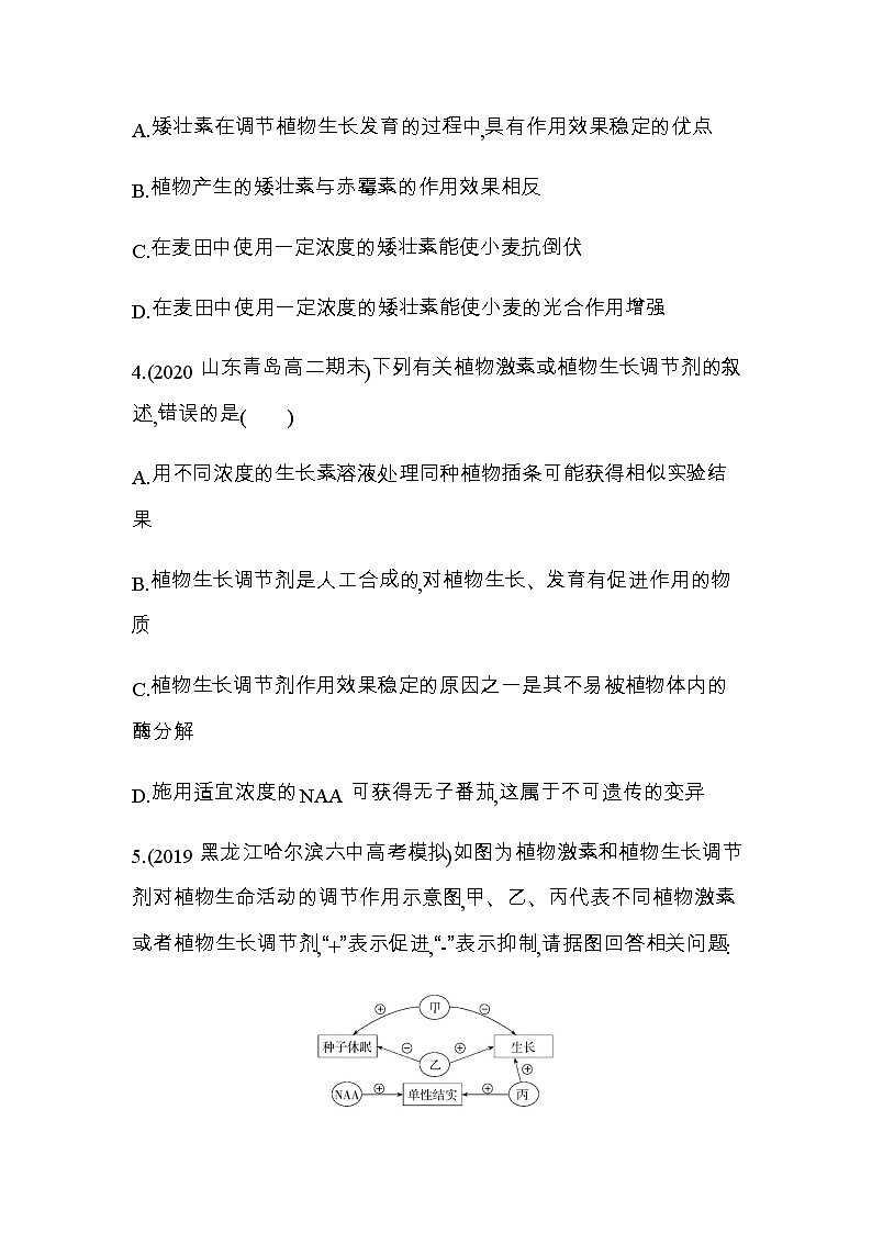 人教版高中生物选择性必修第1册第5章第3节植物生长调节剂的应用习题含答案第2页