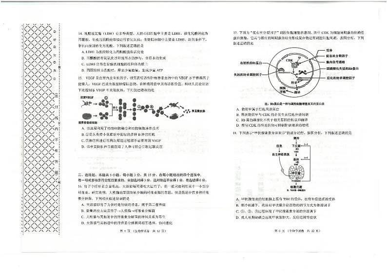 2023届辽宁省大连市高三第一次模拟考试生物试卷03