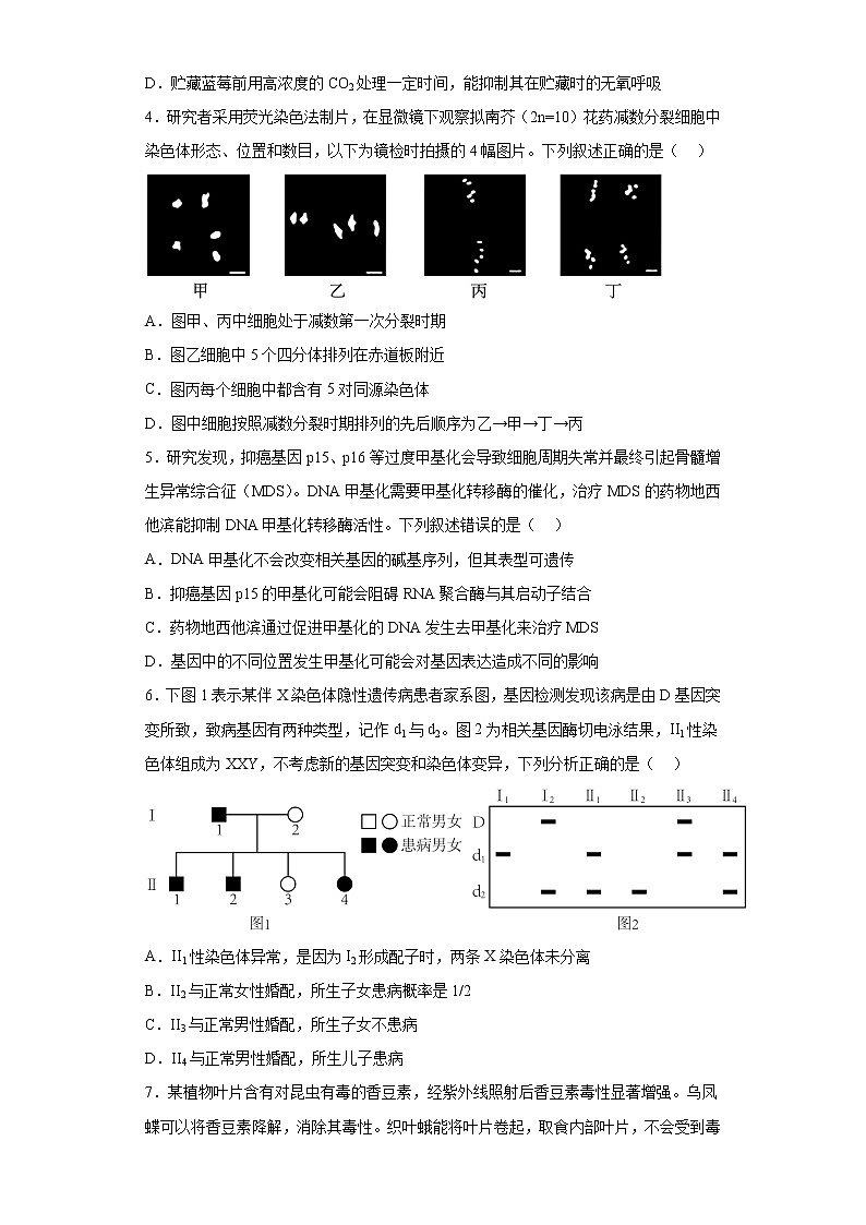 2023届北京市门头沟区高三一模生物试题（含答案）第2页