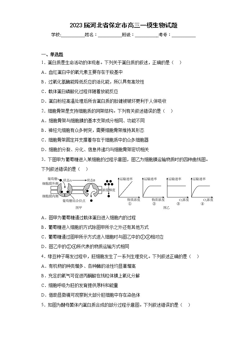 2023届河北省保定市高三一模生物试题-（含答案）01
