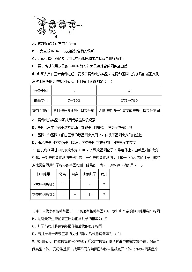 2023届河北省保定市高三一模生物试题-（含答案）02