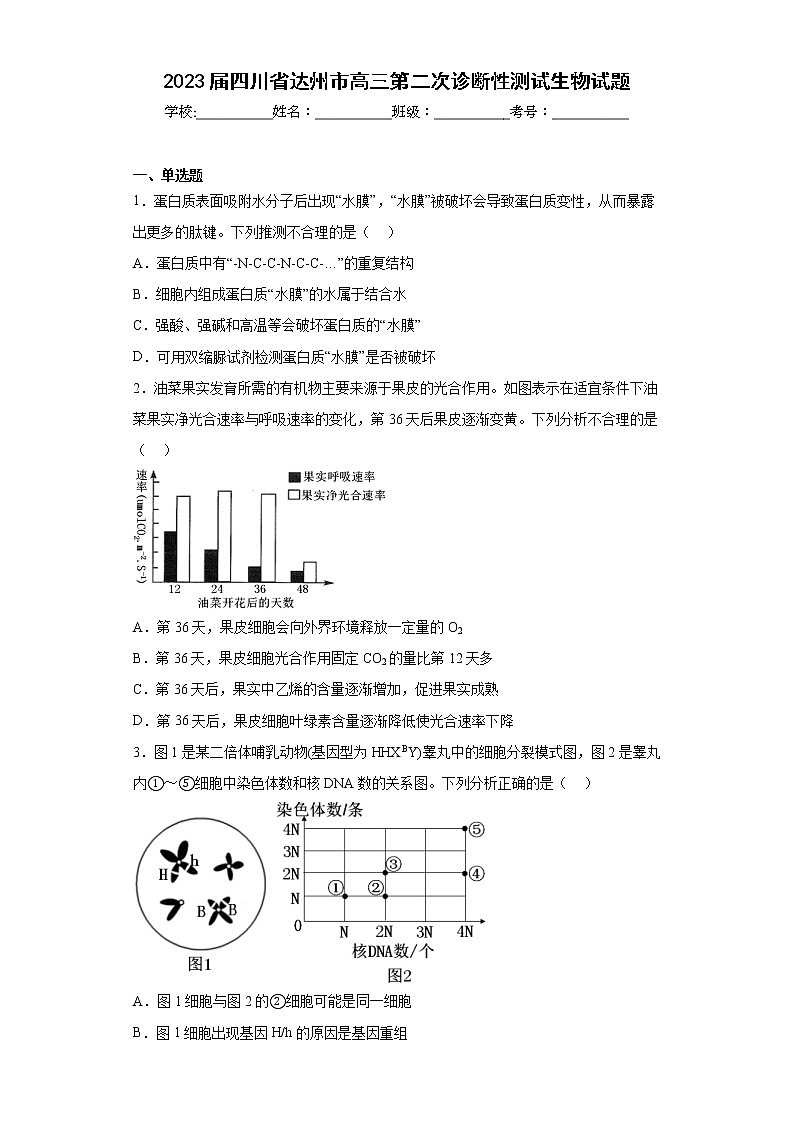 2023届四川省达州市高三第二次诊断性测试生物试题（含答案）01