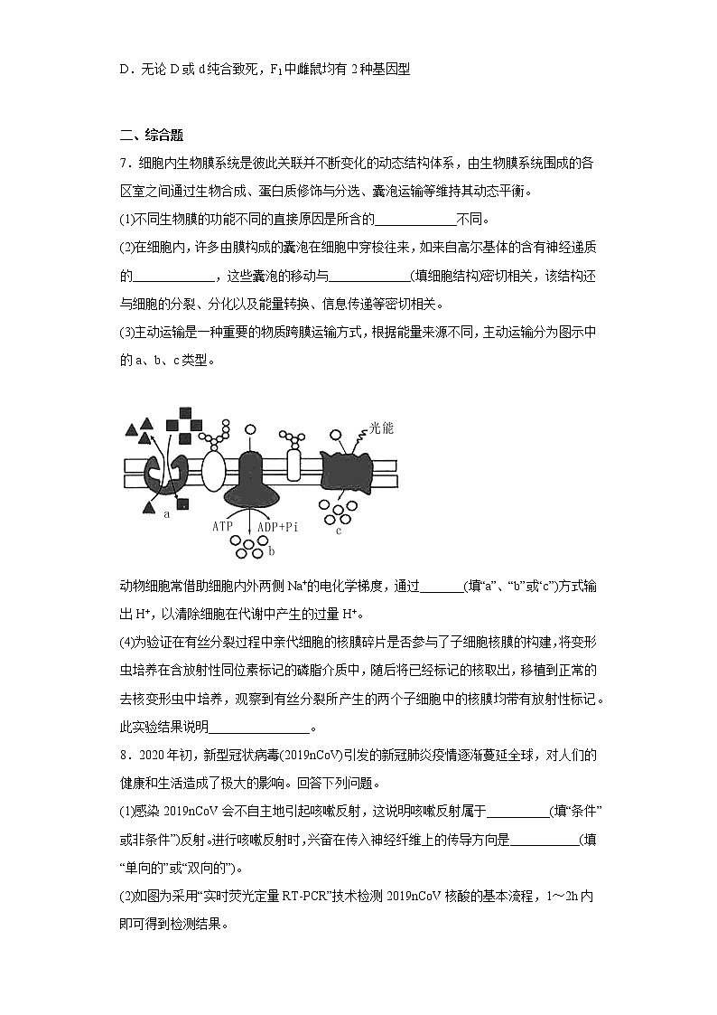 2023届四川省达州市高三第二次诊断性测试生物试题（含答案）03