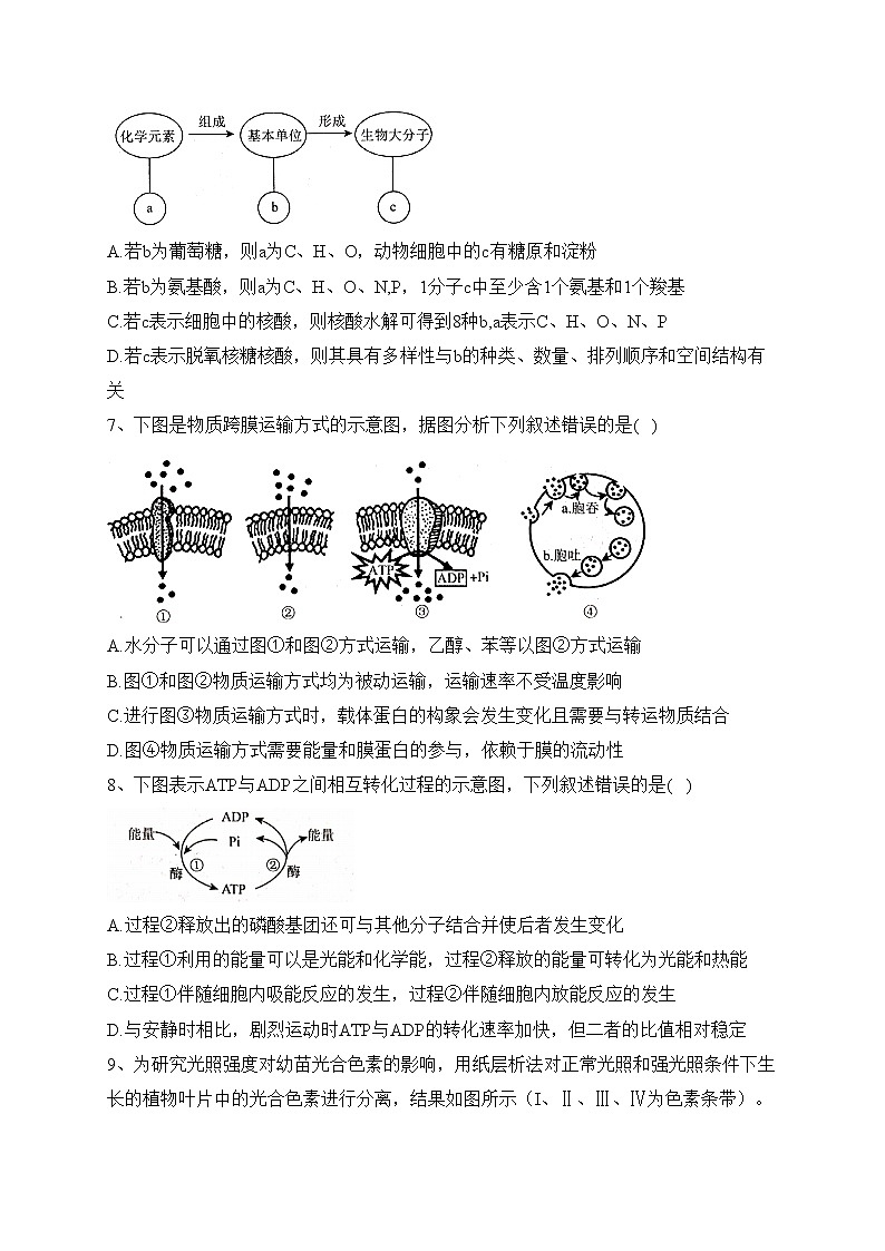 辽宁省名校2022-2023学年高一下学期3月联合考试生物试卷（含答案）02