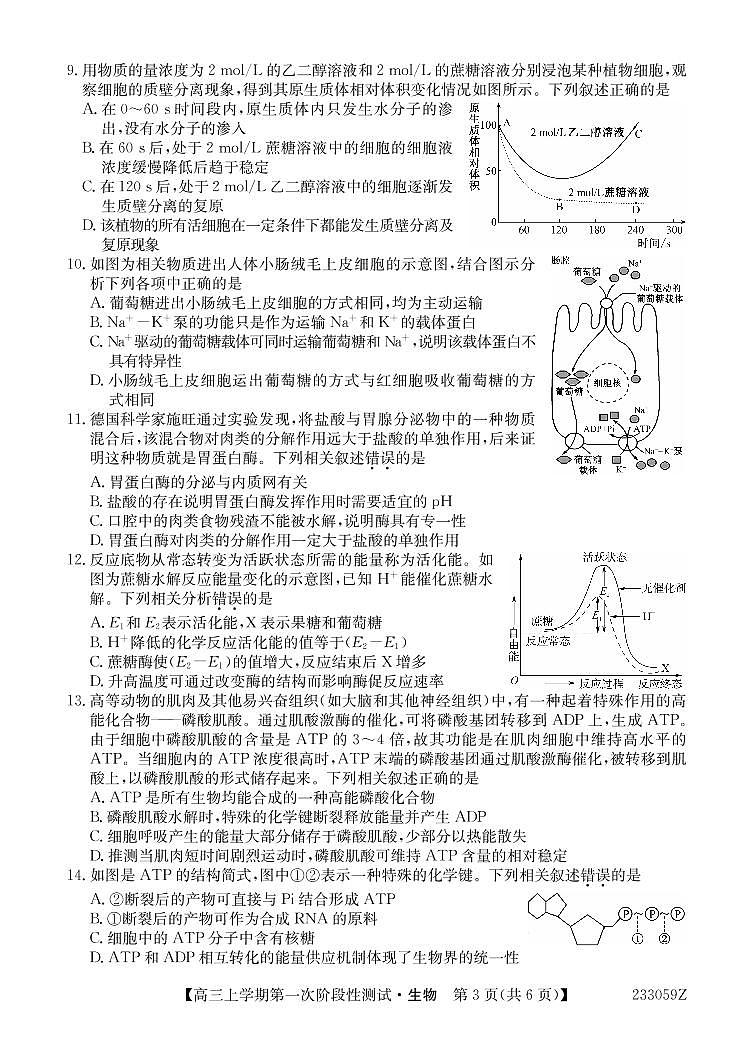 2023届安徽省皖优联盟高三上学期第一次阶段测试（月考）-生物PDF版含答案03
