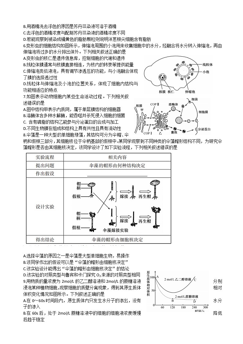 生物试题第2页