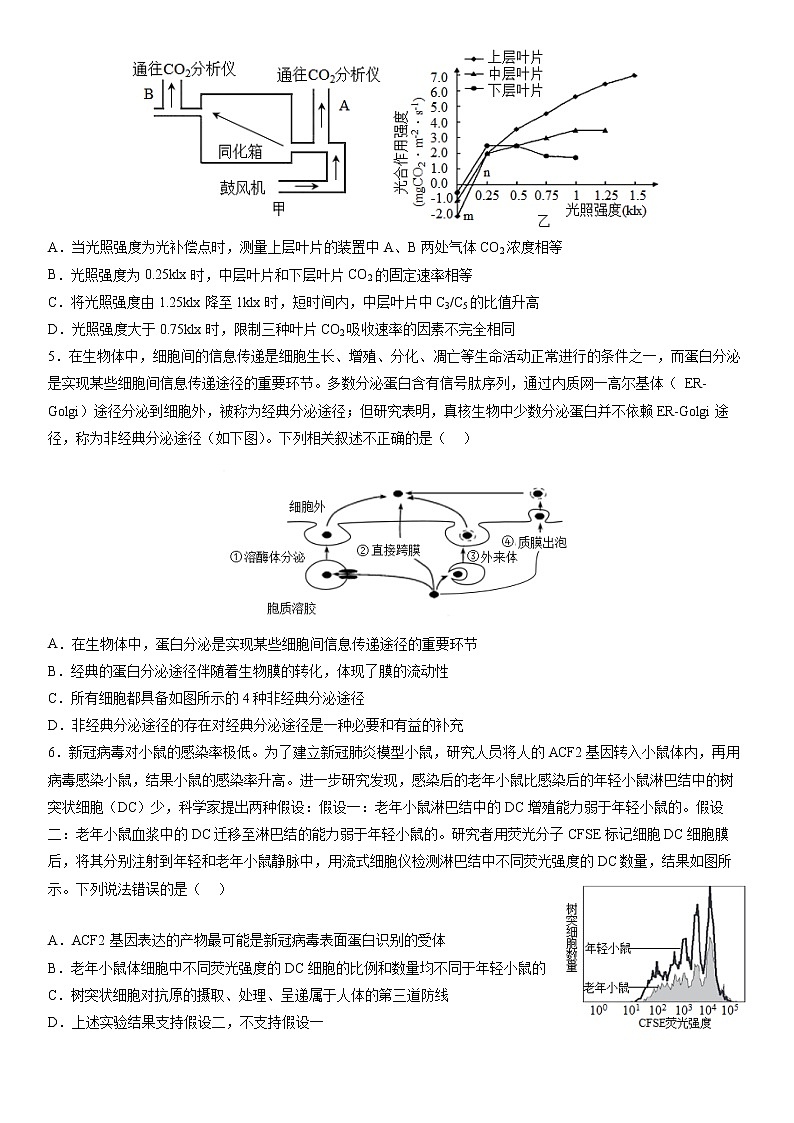 2023沈阳东北育才学校高三下学期适应性测试（三）（三模）生物含答案02