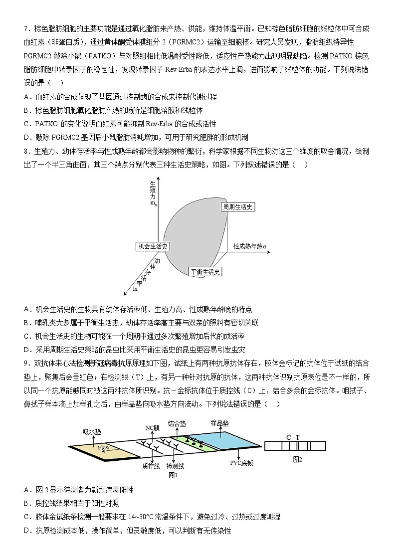 2023沈阳东北育才学校高三下学期适应性测试（三）（三模）生物含答案03