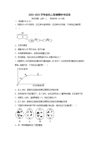 2023阳泉一中校高三上学期11月期中生物试题含答案