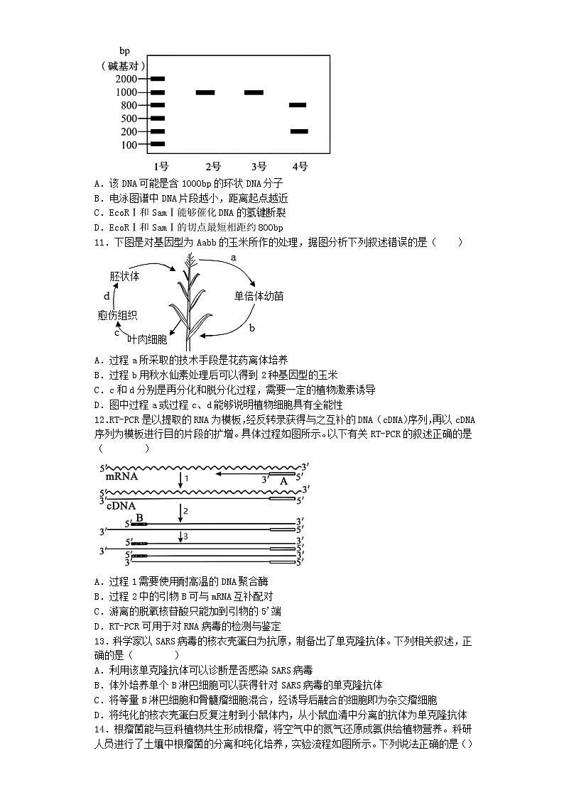 2023邵阳二中高二下学期期中考试生物试题含解析第3页