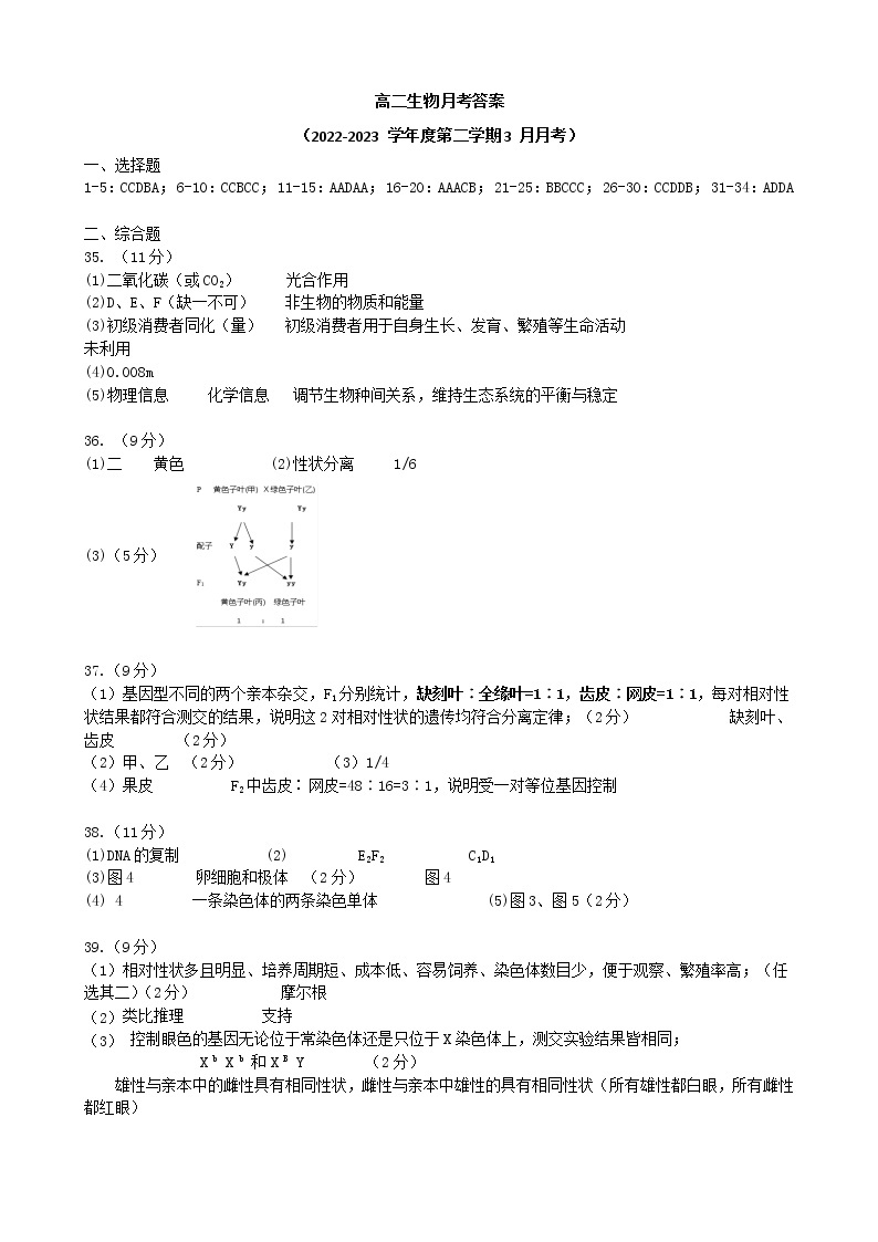 2023银川唐徕中学高二下学期3月月考试题生物含答案01