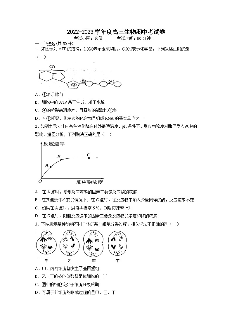 山西省阳泉市第一中学2022-2023学年高三生物上学期11月期中试题（Word版附答案）01