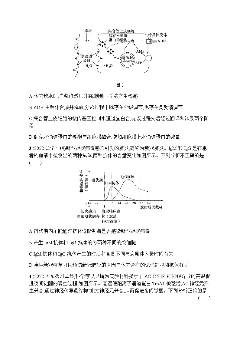 高考生物二轮复习小题练9动物生命活动的调节含答案第2页