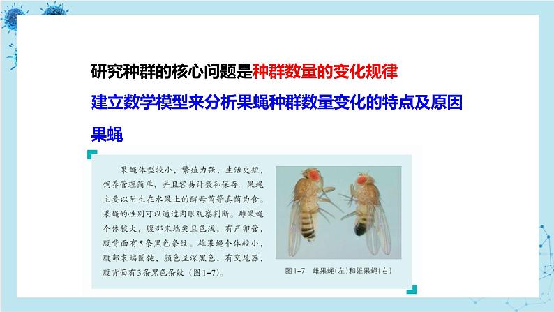 浙科版高中生物选择性必修第二册·第一章- 第二节 不同条件下种群的增长方式不同（课件PPT）03