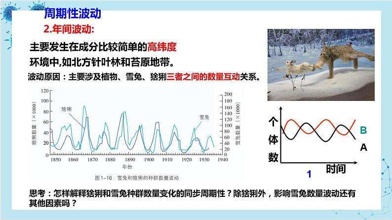 浙科版高中生物选择性必修第二册·第一章- 第三节 生态因素影响种群数量波动（课件PPT）06