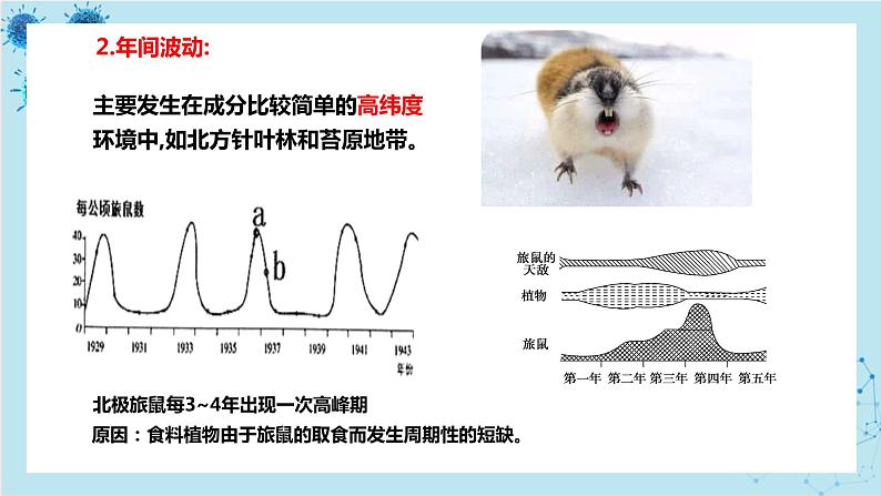 浙科版高中生物选择性必修第二册·第一章- 第三节 生态因素影响种群数量波动（课件PPT）07