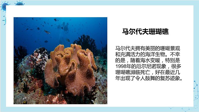 浙科版高中生物选择性必修第二册·第二章- 第一节 不同种群组成群落（课件PPT）05