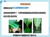 浙科版高中生物选择性必修第二册·第二章- 第二节 群落具有垂直、水平和时间结构（课件PPT）