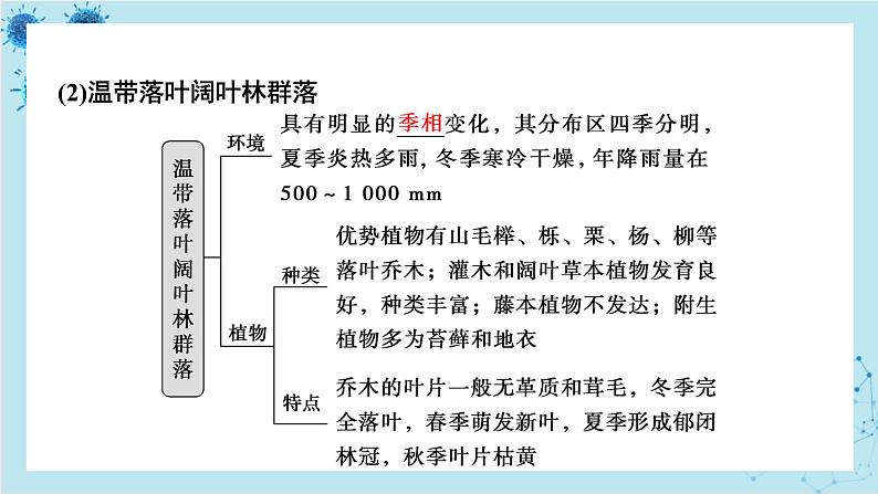 浙科版高中生物选择性必修第二册·第二章- 第三节 地球上分布着不同类型的群落（课件PPT）第7页