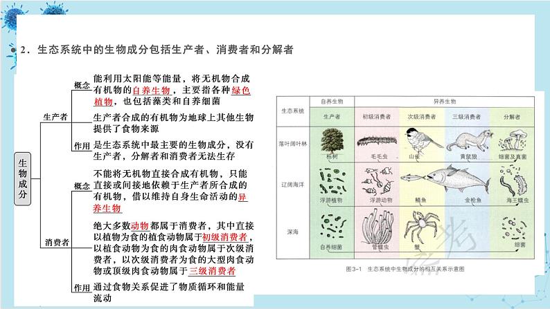 浙科版高中生物选择性必修第二册·第三章- 第一节 群落与非生物环境组成生态系统（课件PPT）05