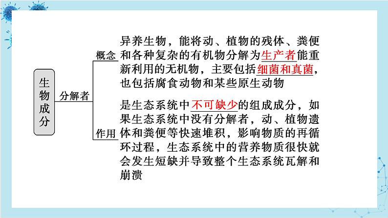 浙科版高中生物选择性必修第二册·第三章- 第一节 群落与非生物环境组成生态系统（课件PPT）06