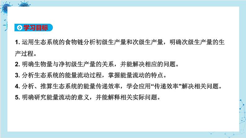 浙科版高中生物选择性必修第二册·第三章- 第三节 生态系统中的能量单向递减流动（课件PPT）02