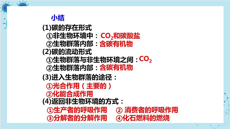 浙科版高中生物选择性必修第二册·第三章- 第四节 生态系统中的物质能被循环利用（课件PPT）第7页