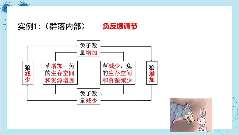 浙科版高中生物选择性必修第二册·第三章- 第六节 生态系统中通过自我调节维持稳态（课件PPT）06