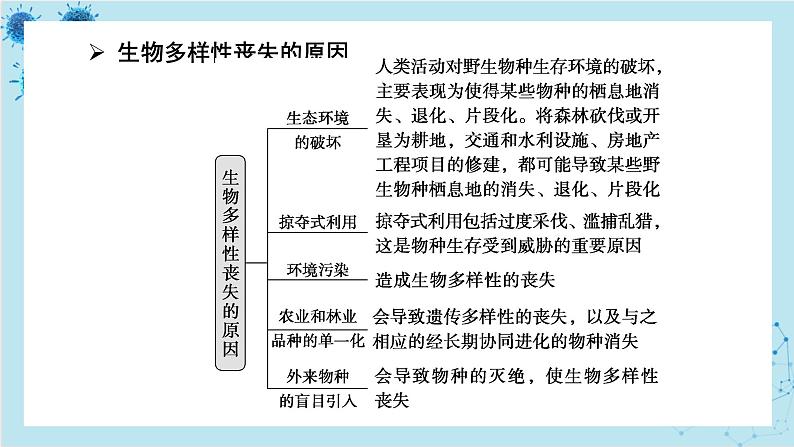 浙科版高中生物选择性必修第二册·第四章- 第三节 保护生态多样性意义重大（课件PPT）05