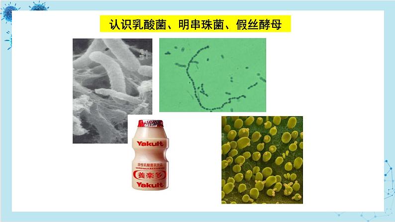 浙科版高中生物选择性必修第三册·第一章- 第三节 课时2 发酵工程为人类提供多样的生物产品（课件PPT）第5页