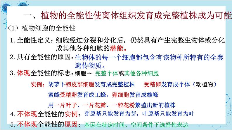 浙科版高中生物选择性必修第三册·第二章- 第一节 通过植物组织培养可获得完整植株（课件PPT）第7页