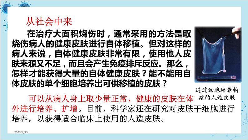 浙科版高中生物选择性必修第三册·第三章- 第一节 细胞培养是动物细胞工程的基础（课件PPT）03