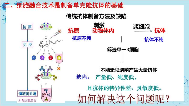 浙科版高中生物选择性必修第三册·第三章- 第三节 通过细胞融合可产生具有新特性的细胞（课件PPT）第7页