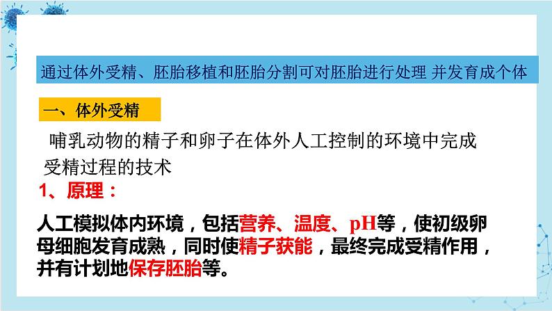 浙科版高中生物选择性必修第三册·第三章- 第四节 课时2 对动物早期胚胎或配子进行处理可获得目标个体（课件PPT）04