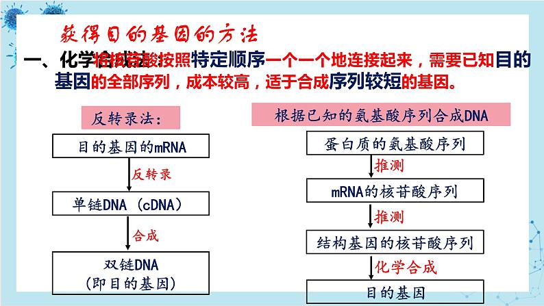 浙科版高中生物选择性必修第三册·第四章- 第一节 课时2 基因工程赋予生物新的遗传特性（课件PPT）07