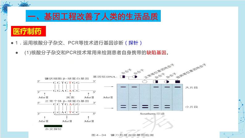 浙科版高中生物选择性必修第三册·第四章- 第二节 基因工程及其延伸技术应用广泛（课件PPT）03