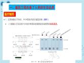 浙科版高中生物选择性必修第三册·第四章- 第二节 基因工程及其延伸技术应用广泛（课件PPT）