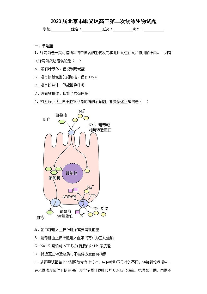 2023届北京市顺义区高三第二次统练生物试题（含答案）01