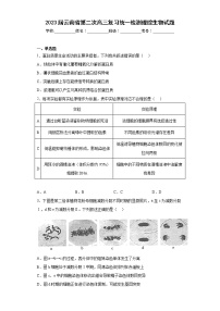 2023届云南省第二次高三复习统一检测理综生物试题（含答案）