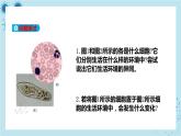人教版高中生物選擇性必修第一冊(cè)·第1章- 第1節(jié) 細(xì)胞生活的環(huán)境（課件PPT）